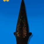 Koi Auktion Dainichi BlackDiamond JumboTosai BlackZeus - 36cm GT06-2252