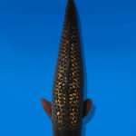 Koi Auktion Dainichi GinrinChagoi Sansai BrownMonkey female 70cm NN05-2813