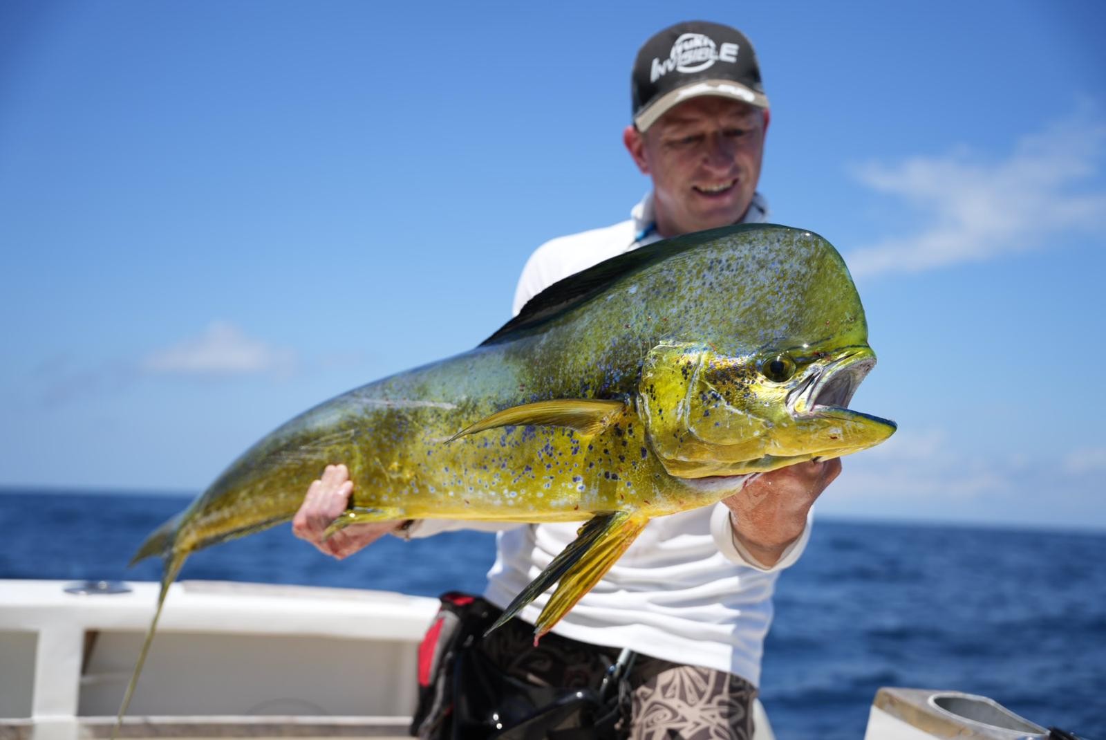 Pescatore su una barca con una lampuga giallo-verde brillante