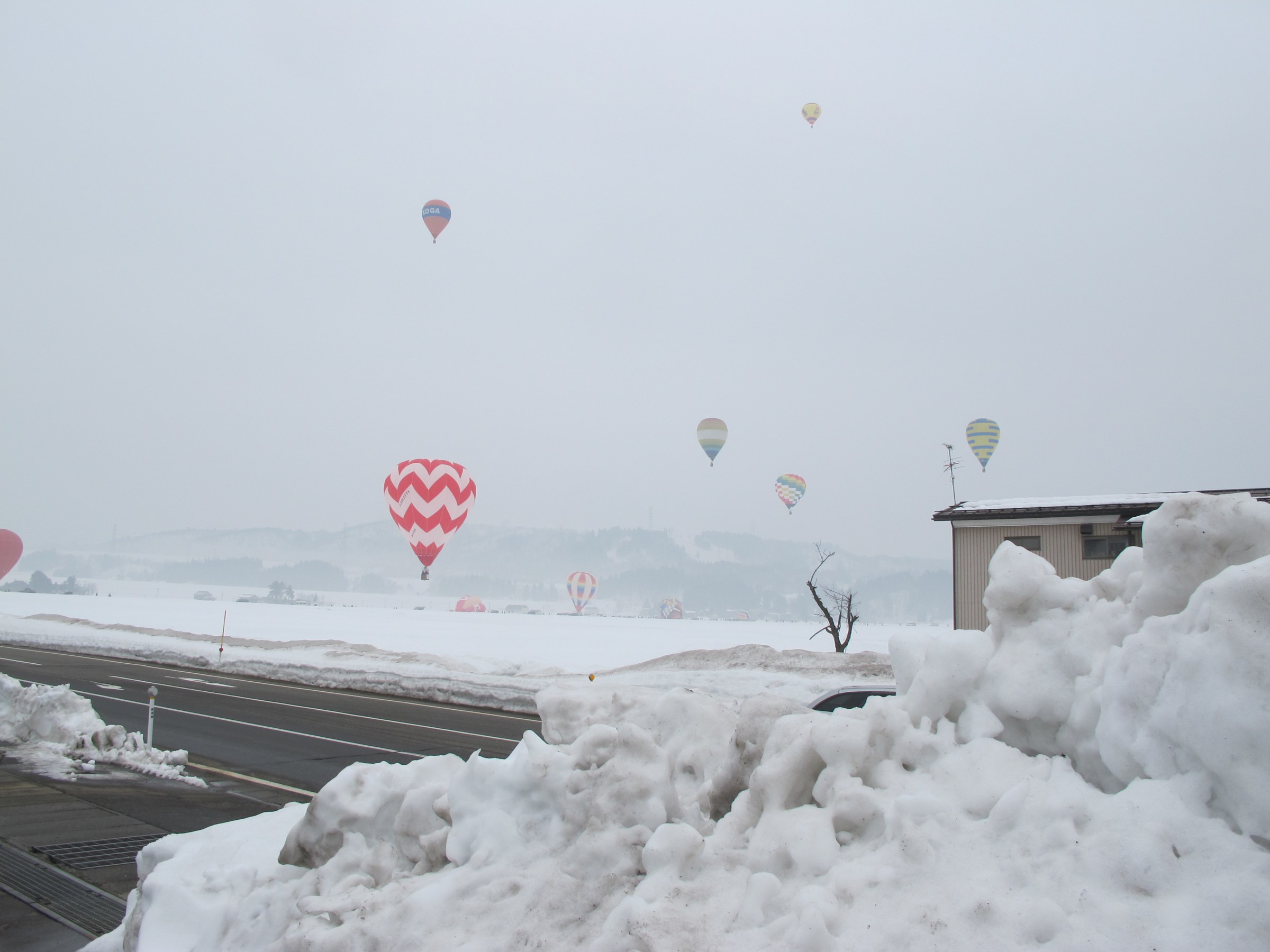 Molte mongolfiere sopra una pianura innevata, davanti un muro di neve