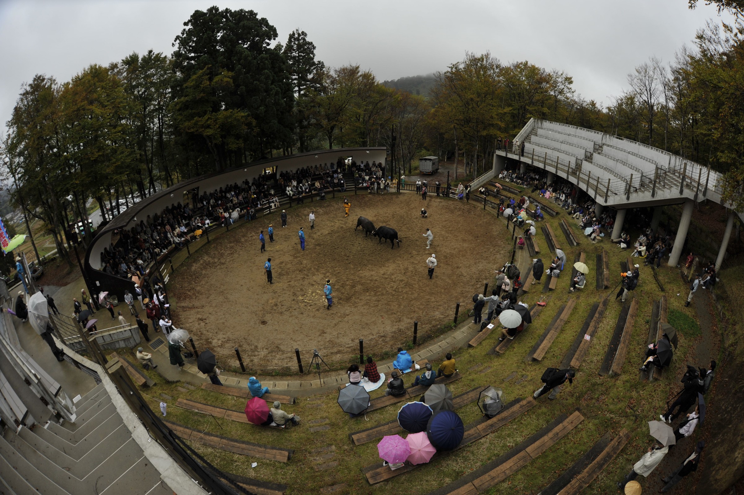 Arena rotonda nel bosco vista dall'alto, spettatori sulle gradinate