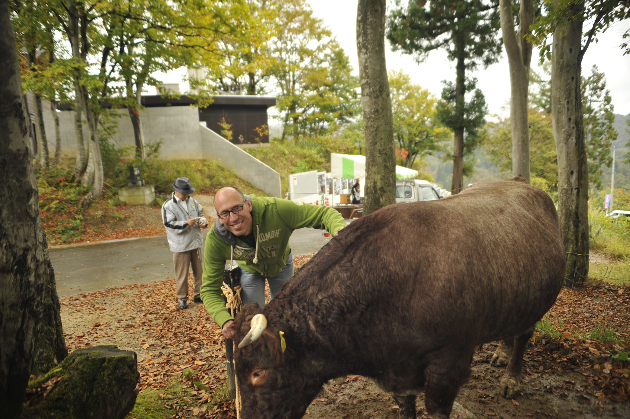 Harald Bachmann con un maglione verde conduce un toro alla corda