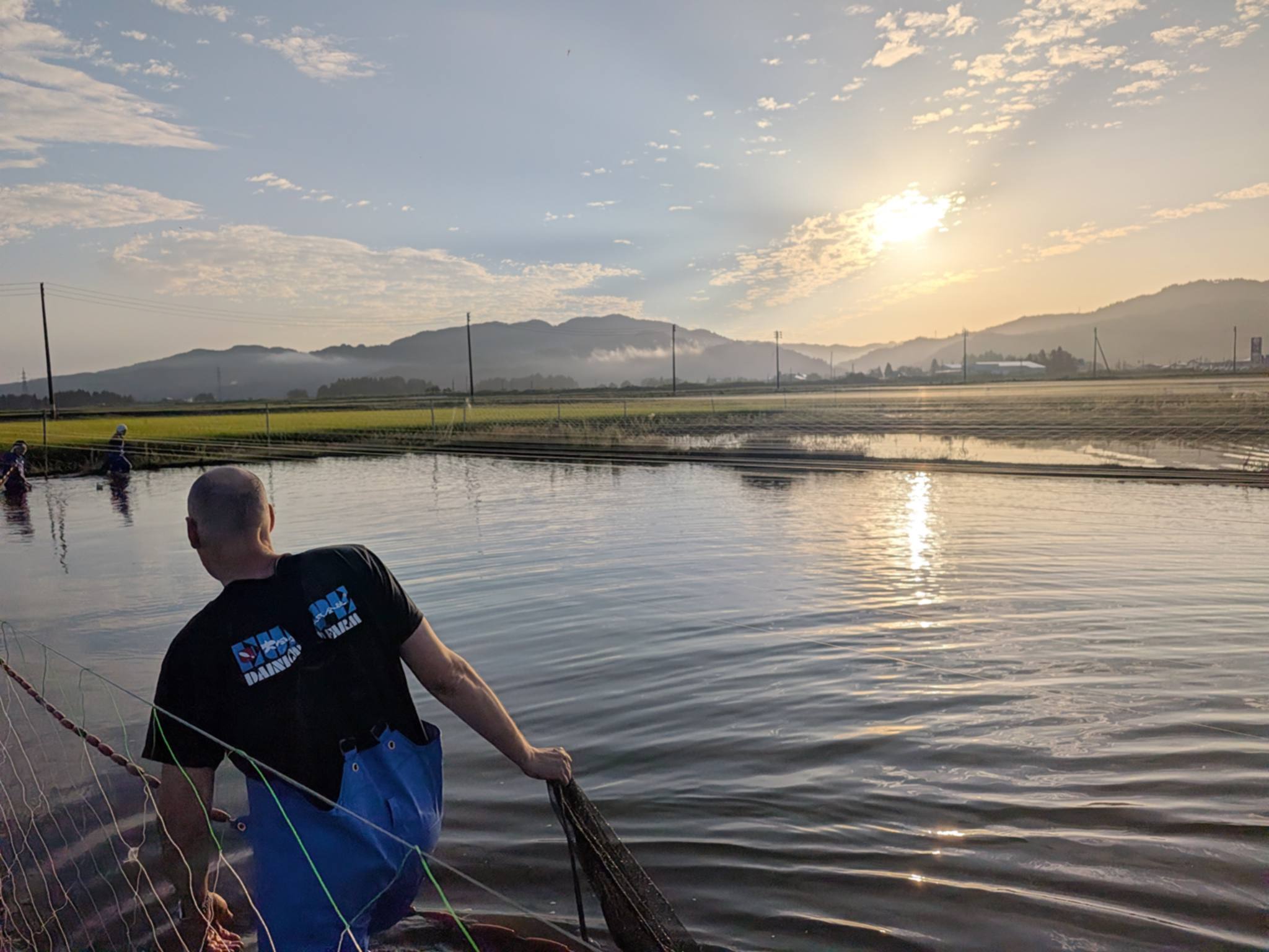 Ein Mann zieht am Ufer eines Mudponds das Netz ein, im Gegenlicht