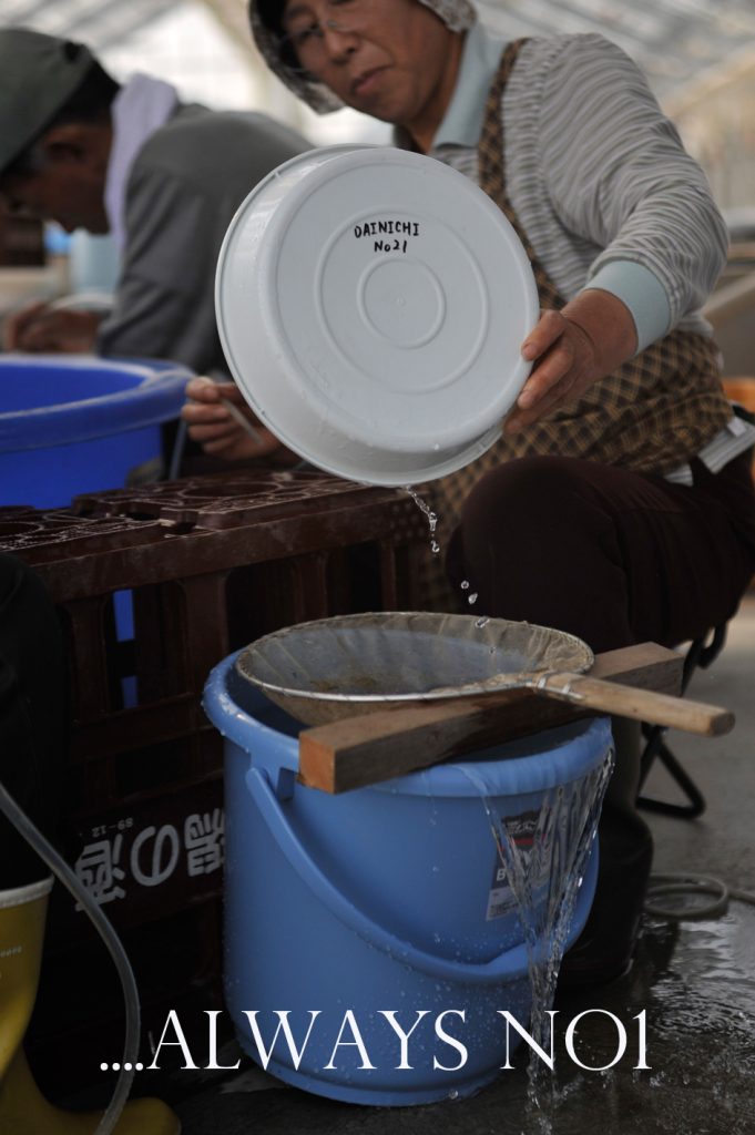 Dainichi Europe Dainichi Europe