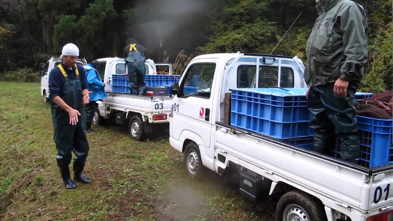 Dainichi today 04.11.2013 Dainichi Europe